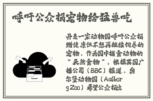 19岁女rapper老狼仙踪林